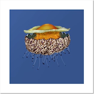 Illustrated Fried Egg Jellyfish Posters and Art